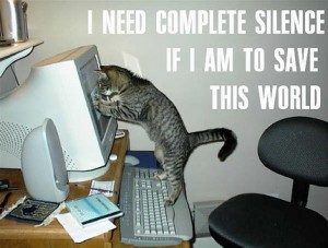 cute-computer-cat.jpg